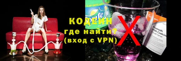 индика Верея