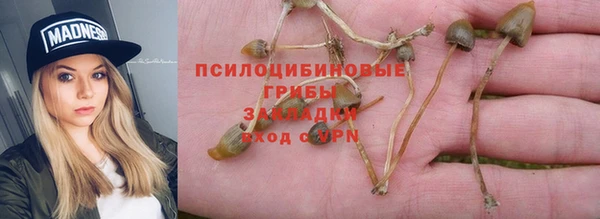 соль ск Верхний Тагил
