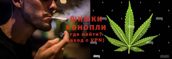 индика Верея