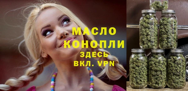 индика Верея
