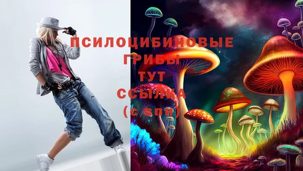 соль ск Верхний Тагил