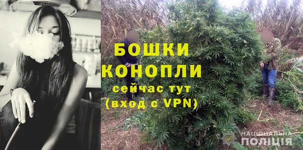 индика Верея
