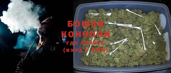 индика Верея