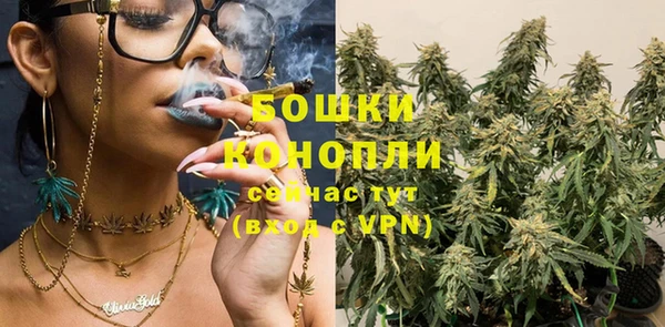 индика Верея