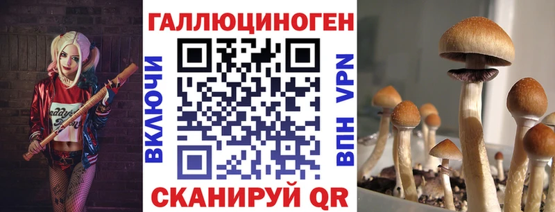 Псилоцибиновые грибы прущие грибы  закладки  Ялта 